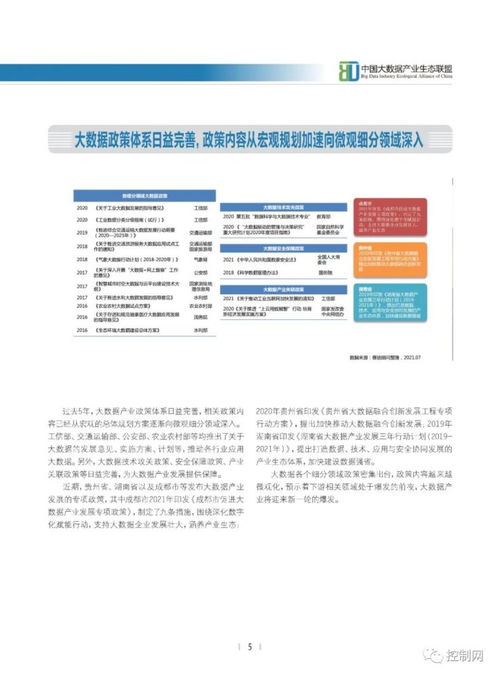 《2021中國大數(shù)據(jù)產(chǎn)業(yè)發(fā)展白皮書》解讀 基礎(chǔ)軟件服務(wù)，產(chǎn)業(yè)數(shù)智化的核心基石